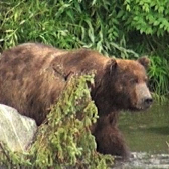 Screen Shot 2016-07-08 at 8.21.43 PM.jpg